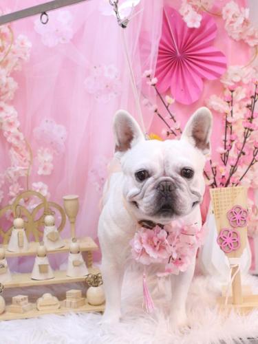 20250319ブーくん